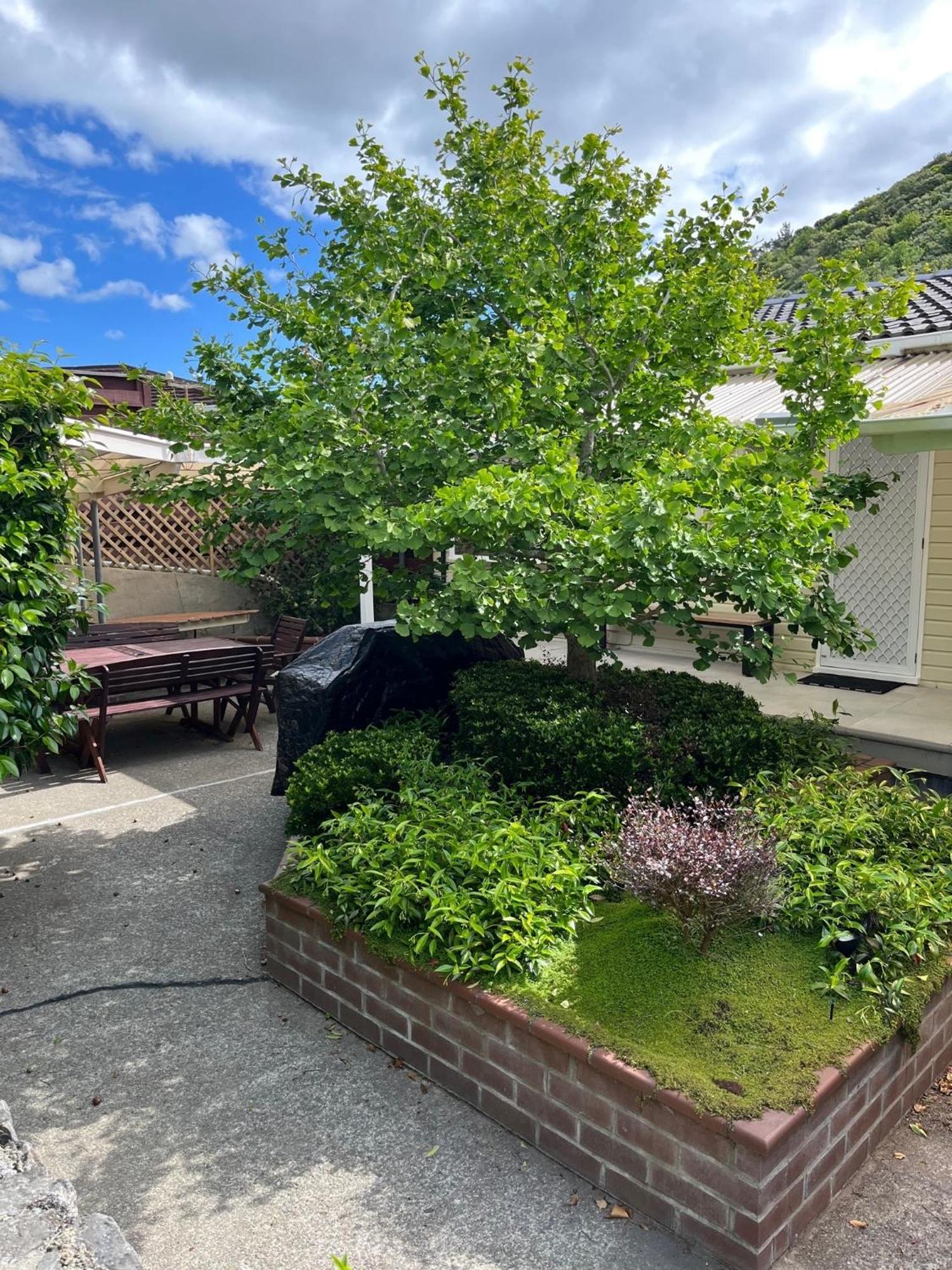 Retro 4 Bedroom Home, Warm And Welcoming, Quiet Location Porirua Eksteriør billede